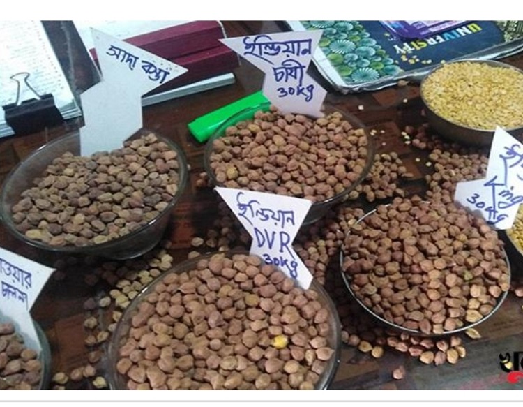 ভারতকে টপকে রোজার বাজার দখল করেছে অস্ট্রেলিয়ান ছোলা