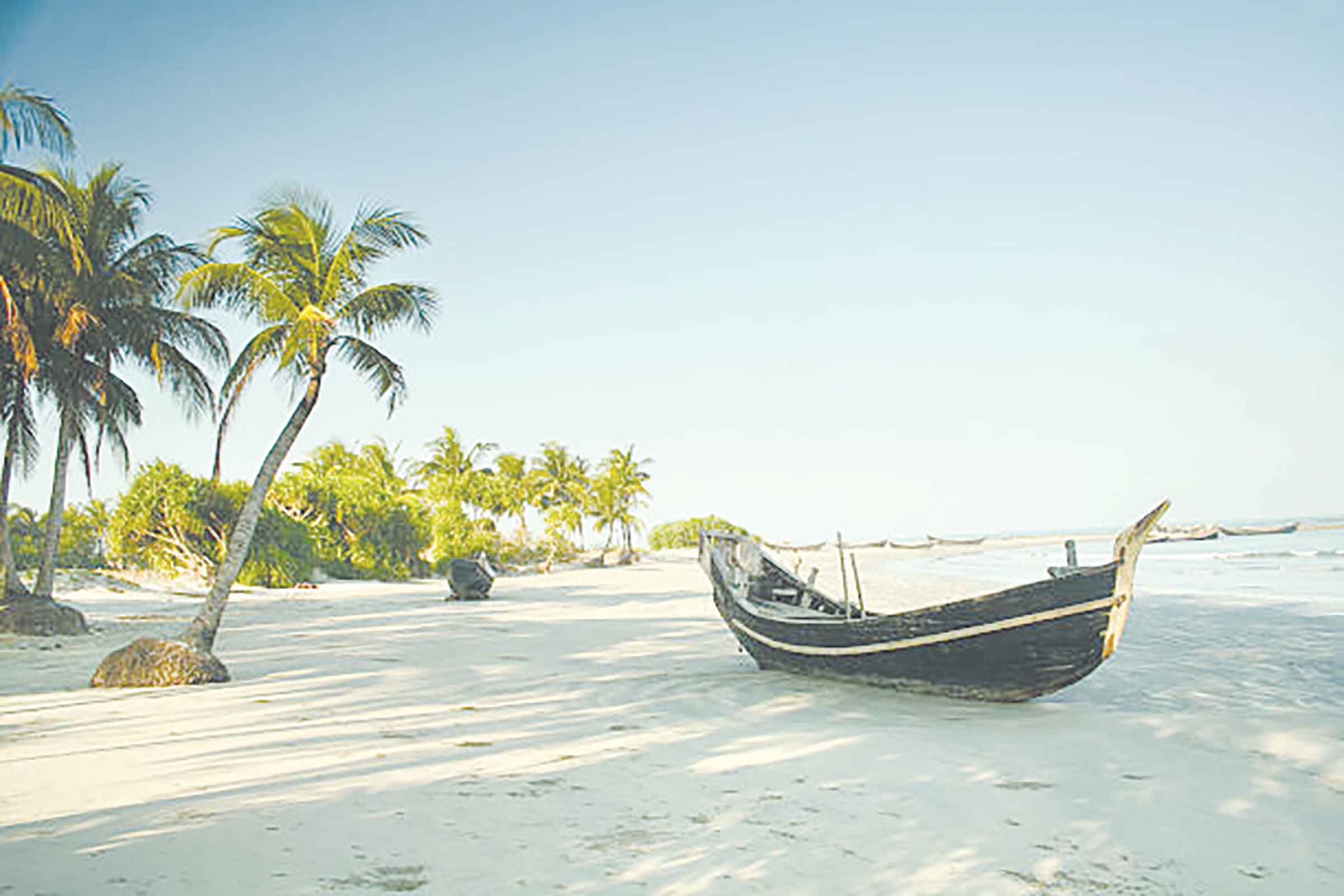 জানার আছে অনেক কিছু