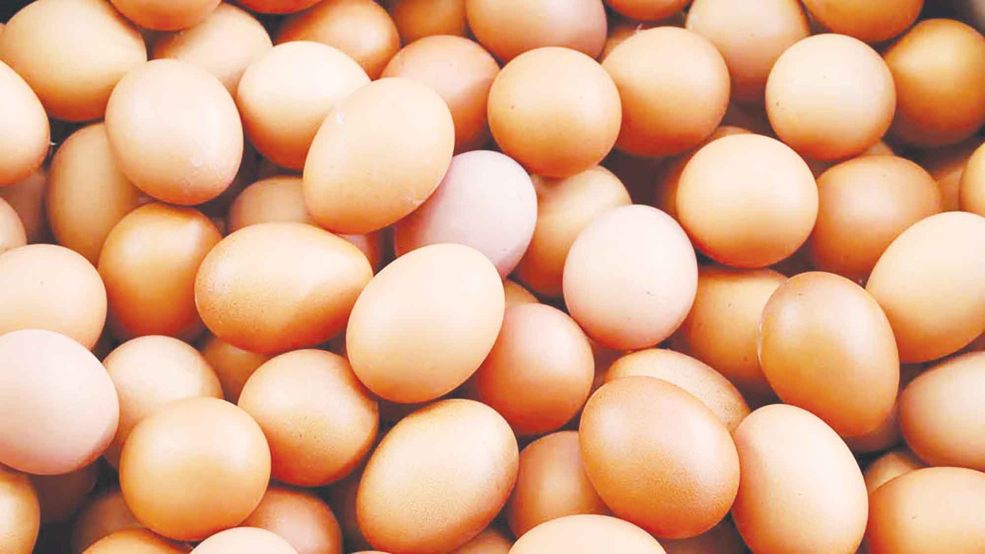 যুক্তরাষ্ট্রে মূল্যবান লুটের মাল 'ডিম'