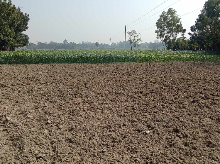 মান্দায় নলকূপে ‌‌‍‘তালার ওপর তালা’ , অনিশ্চিত বোরো আবাদ