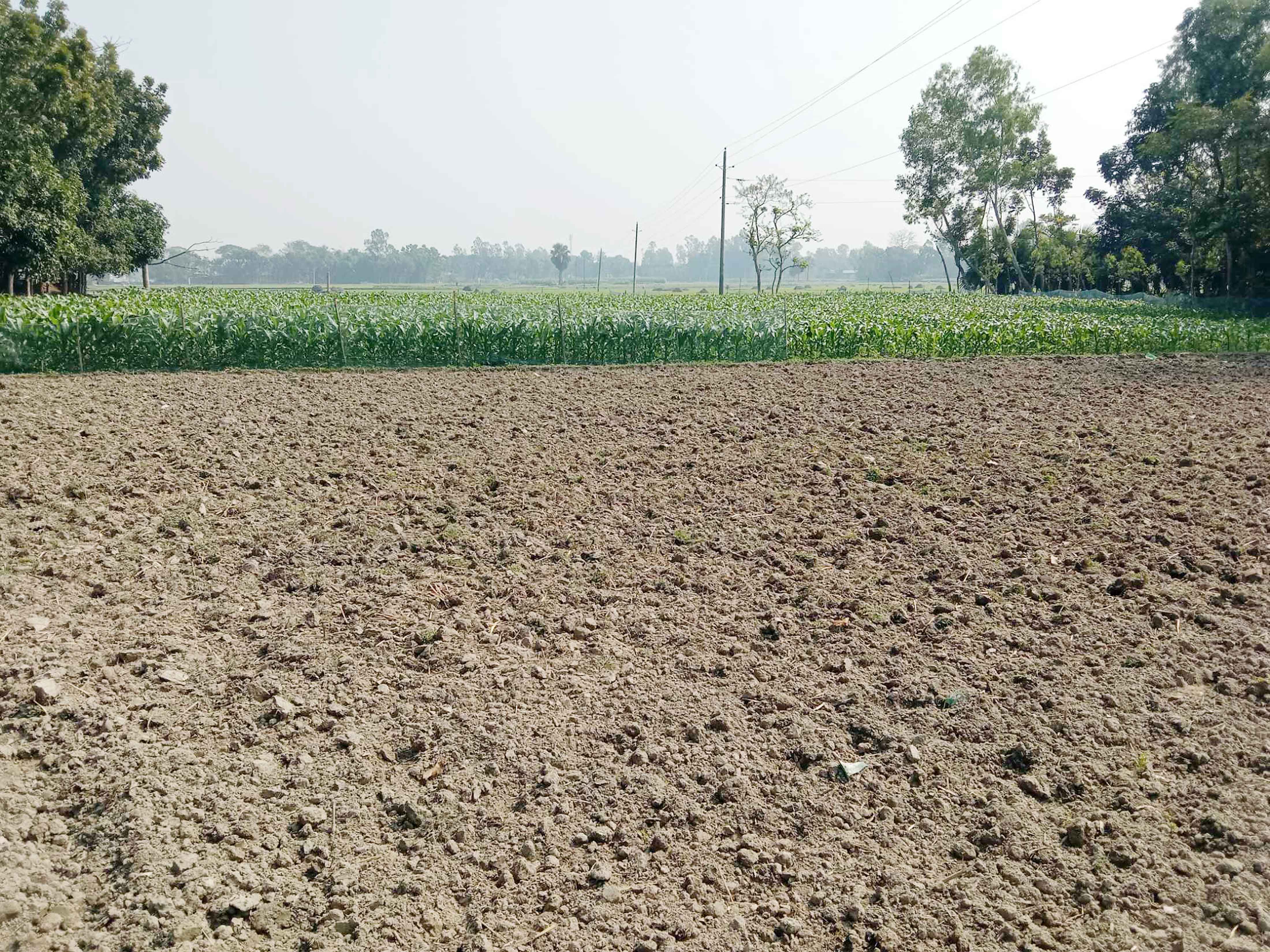 মান্দায় শতাধিক বিঘার বোরো আবাদ অনিশ্চিত