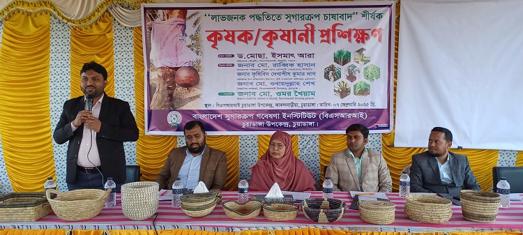 চুয়াডাঙ্গায় সুগারক্রপ চাষাবাদ শীর্ষক কৃষক-কৃষাণী প্রশিক্ষণ