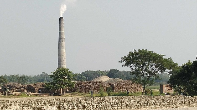 দৌলতপুরে লাইসেন্সহীন ৩৬ ইটভাটায় পুড়ছে কাঠ!