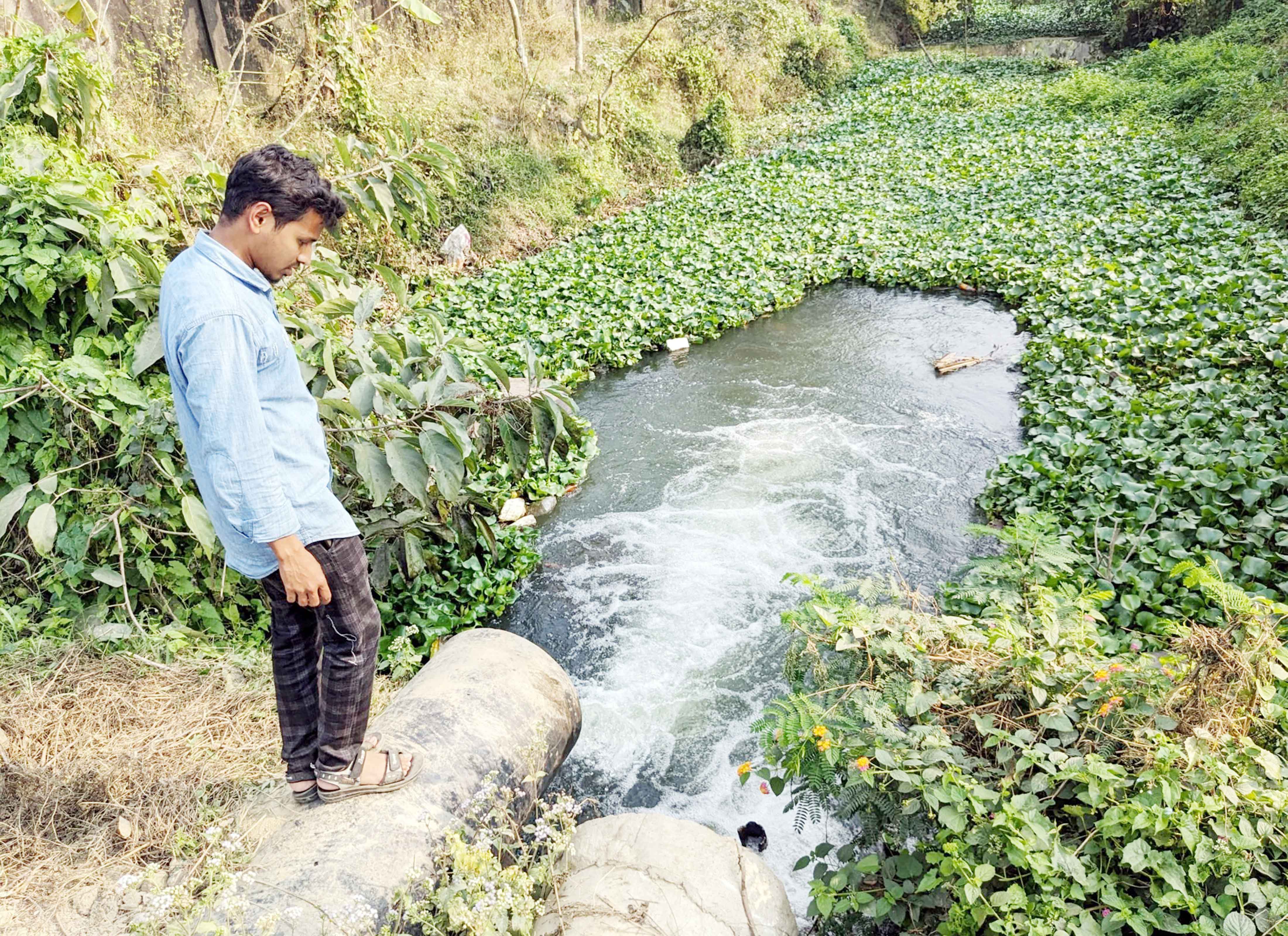 ঝিনাইগাতী ও মিরসরাইয়ে চাষের আওতায় এলো ১২শ' একর জমি