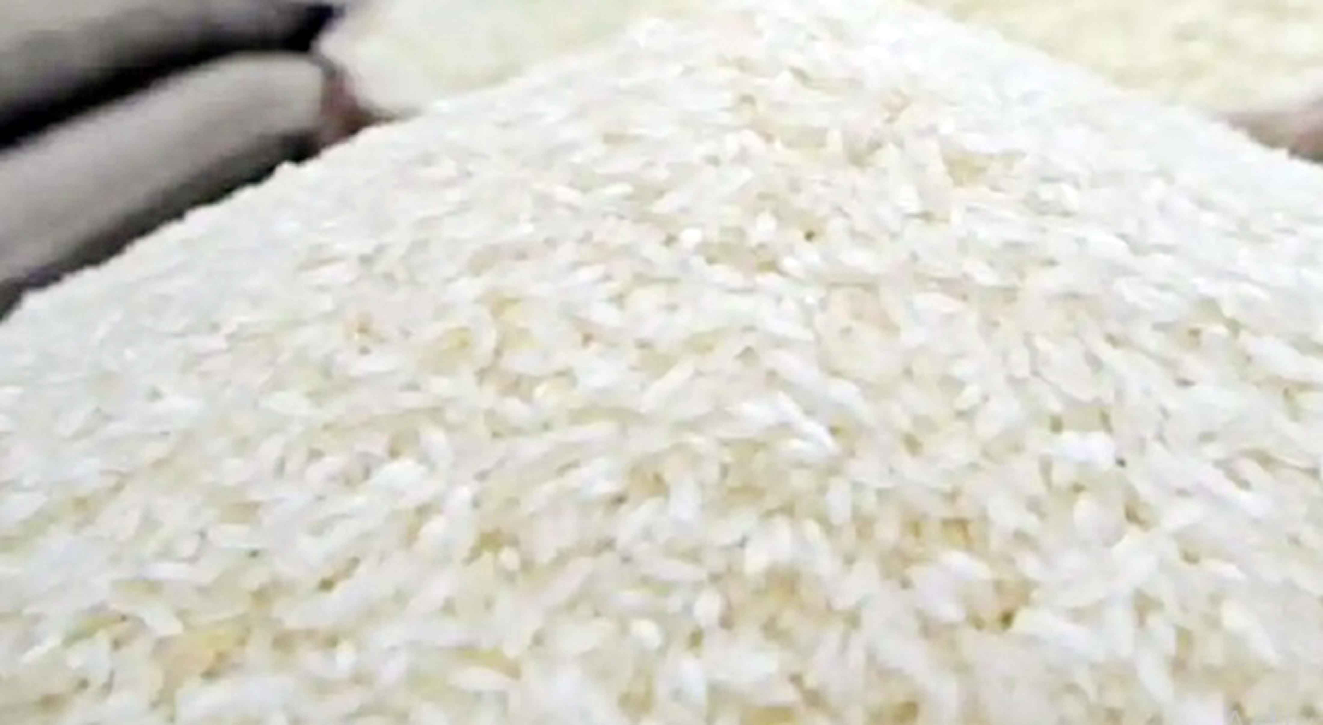 খুলনার গুদামে ভারতীয় চালে পোকা, দেখার কেউ নেই!