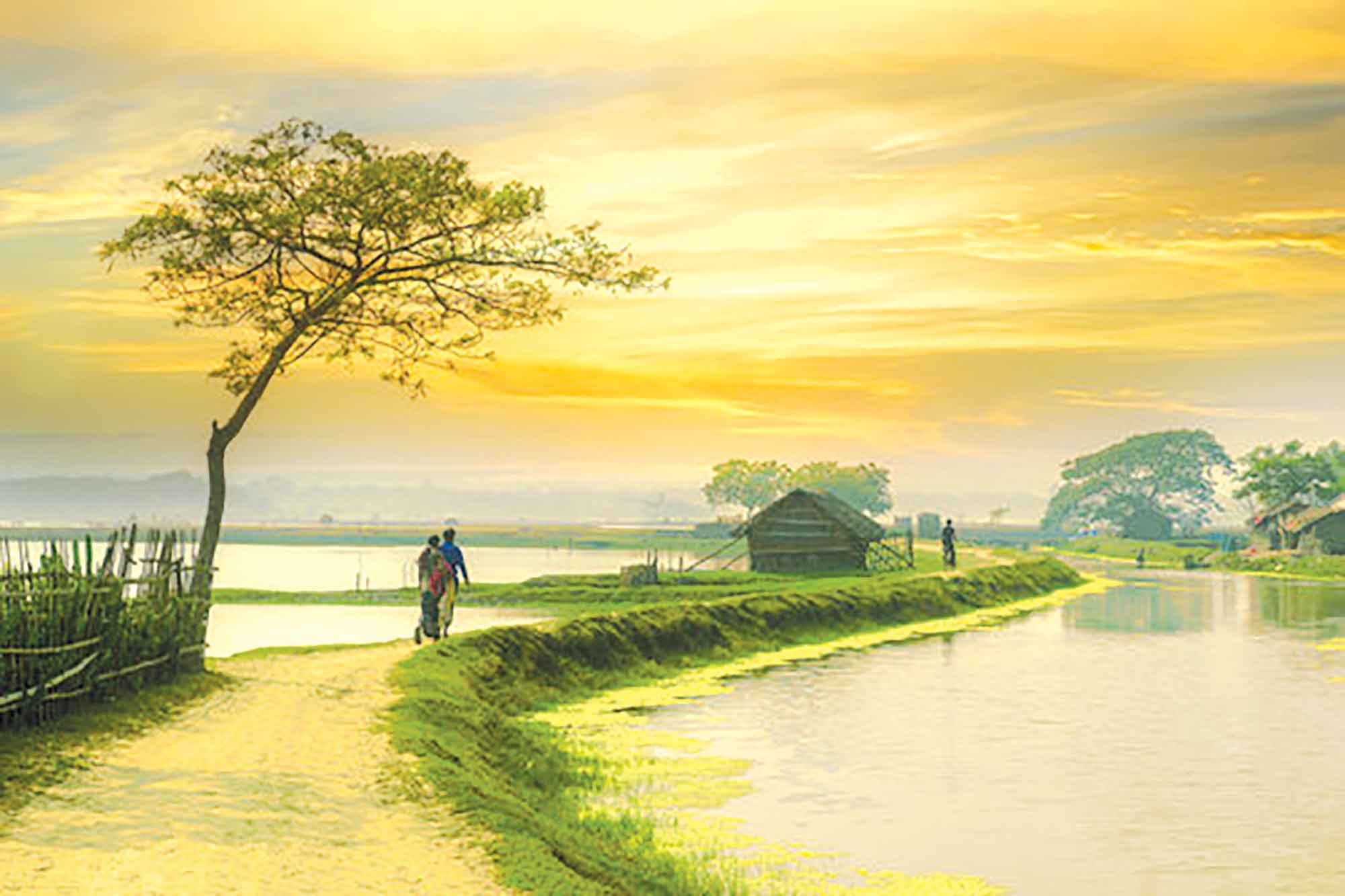 এসএসসি পরীক্ষার প্রস্তুতি