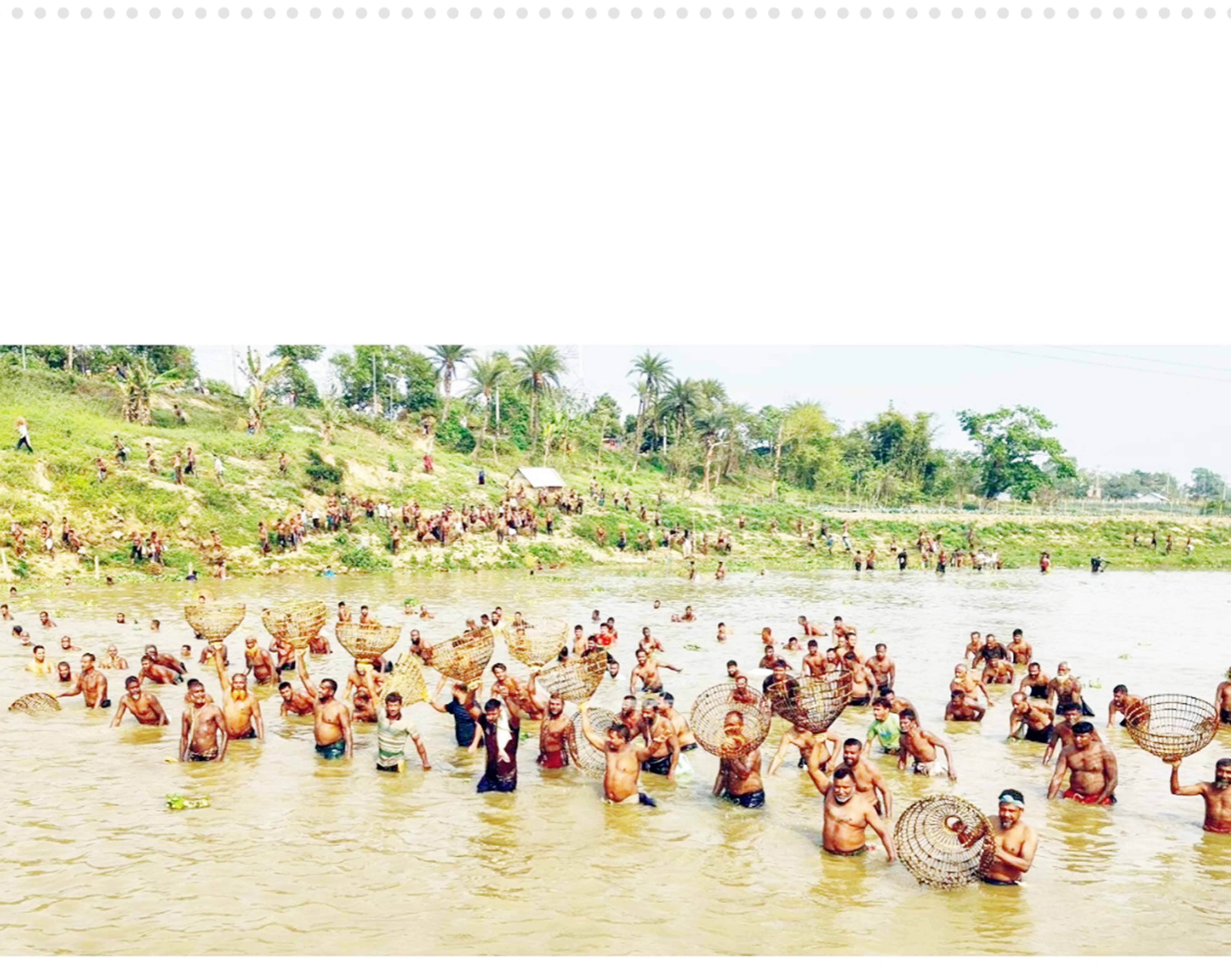 কুমিলস্নার গোমতী নদীতে পলো দিয়ে মাছ শিকারের উৎসব