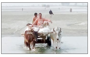 শুকনো মৌসুমে তিস্তার বালুচরে পার হয়ে যায় গরু, পার হয় গাড়ি