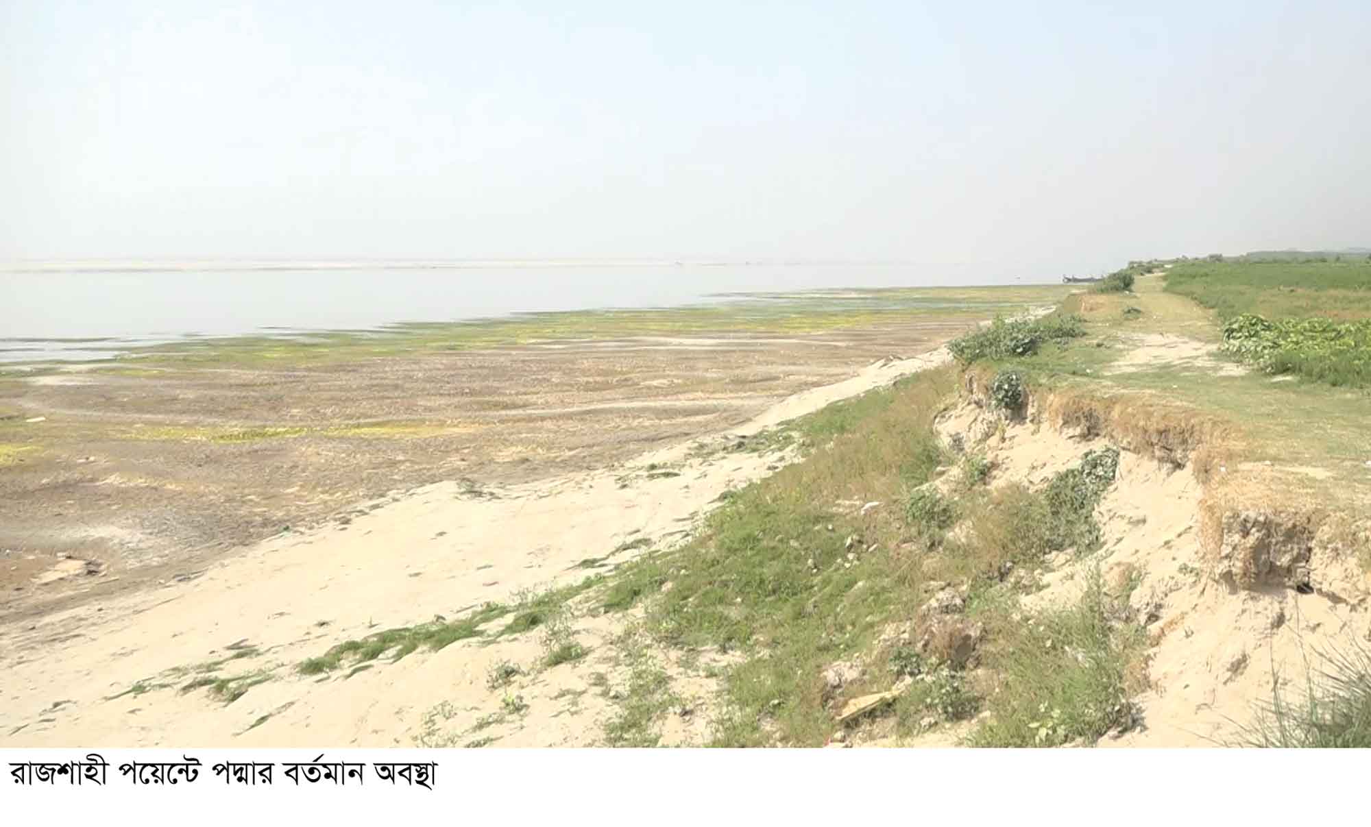 ফারাক্কার বিরূপ প্রভাবে অচেনা পদ্মা
