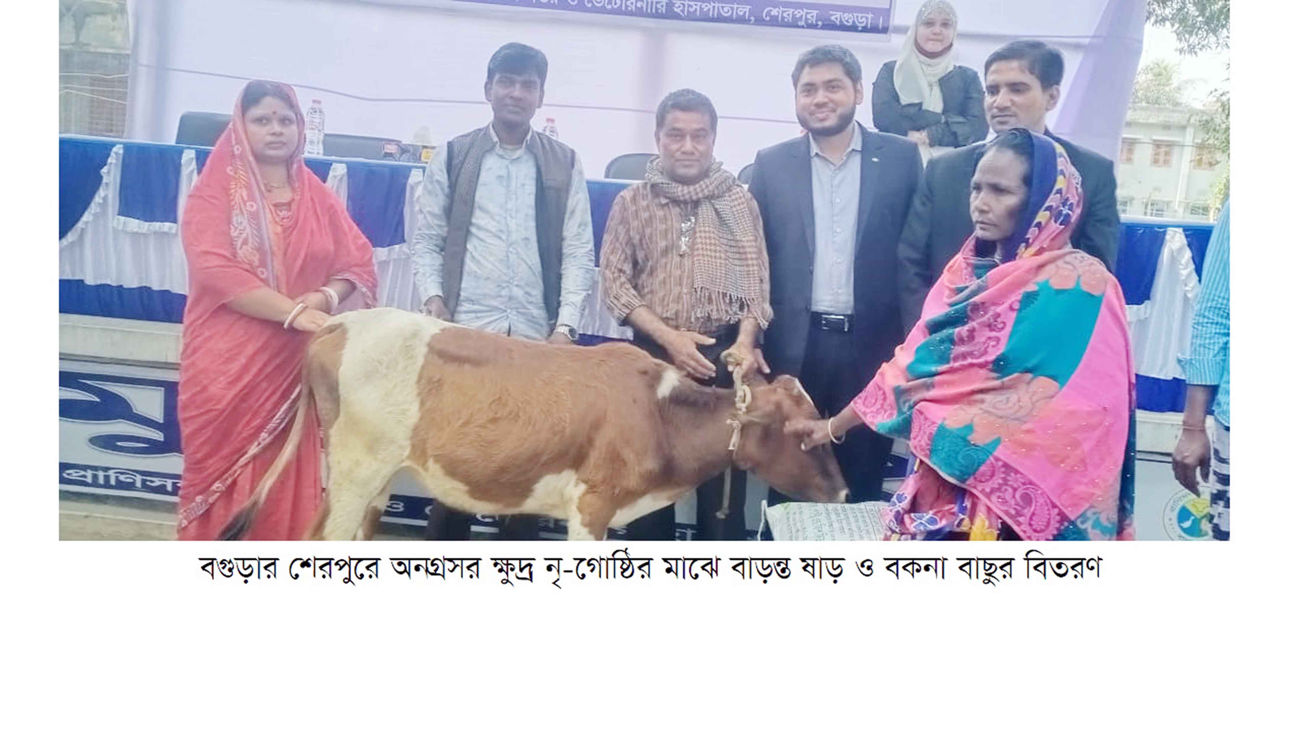 শেরপুরে অনগ্রসর ক্ষুদ্র-নৃ-গোষ্ঠির জন্য ষাড় ও বাছুর বিতরণ