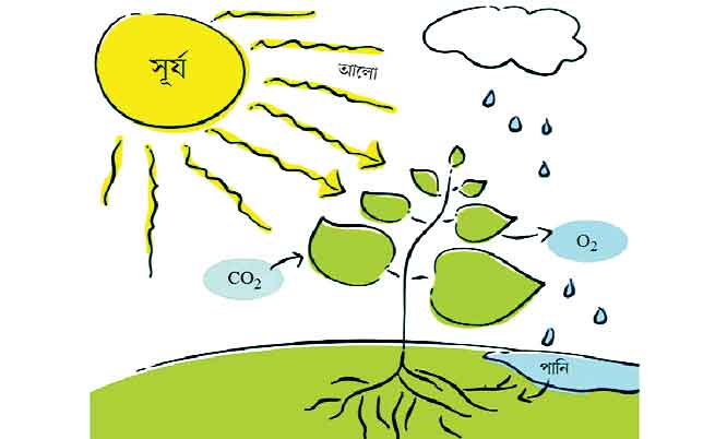 পঞ্চম শ্রেণির বিজ্ঞান