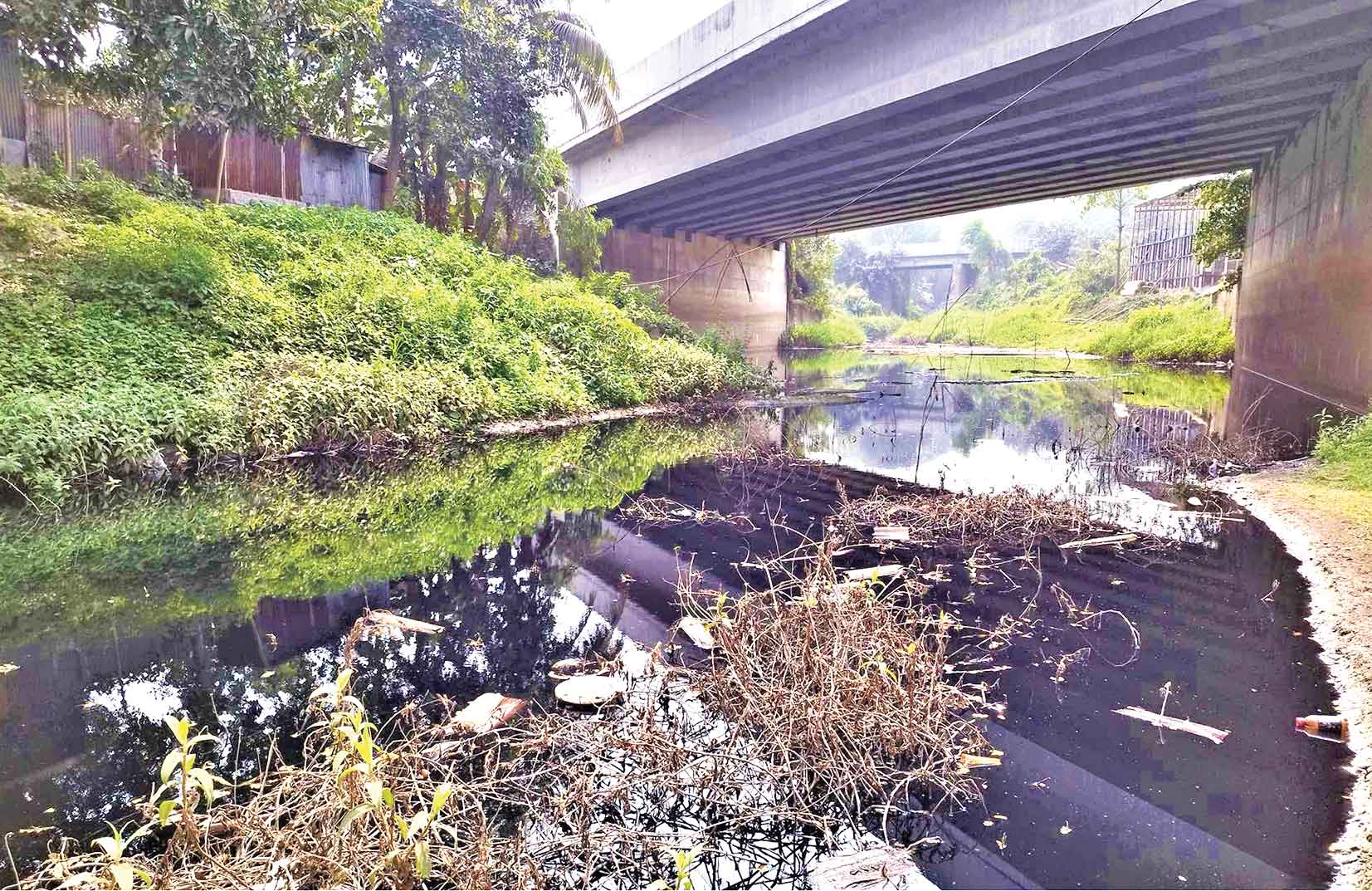 শিল্পবর্জ্যে দূষণের শিকার লৌহজং নদী ও খাল