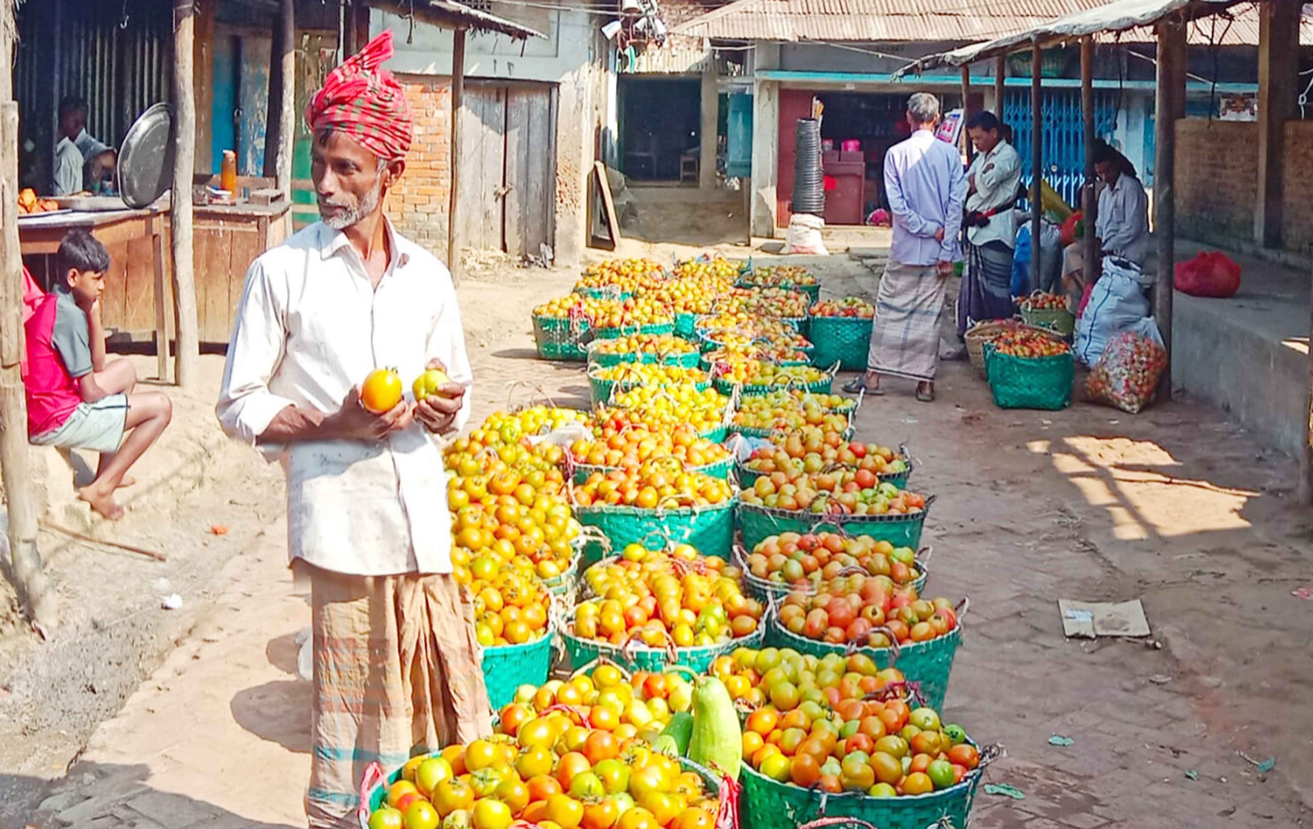 প্রতি কেজি টমেটো ৫ টাকা তবুও মিলছে না ক্রেতা