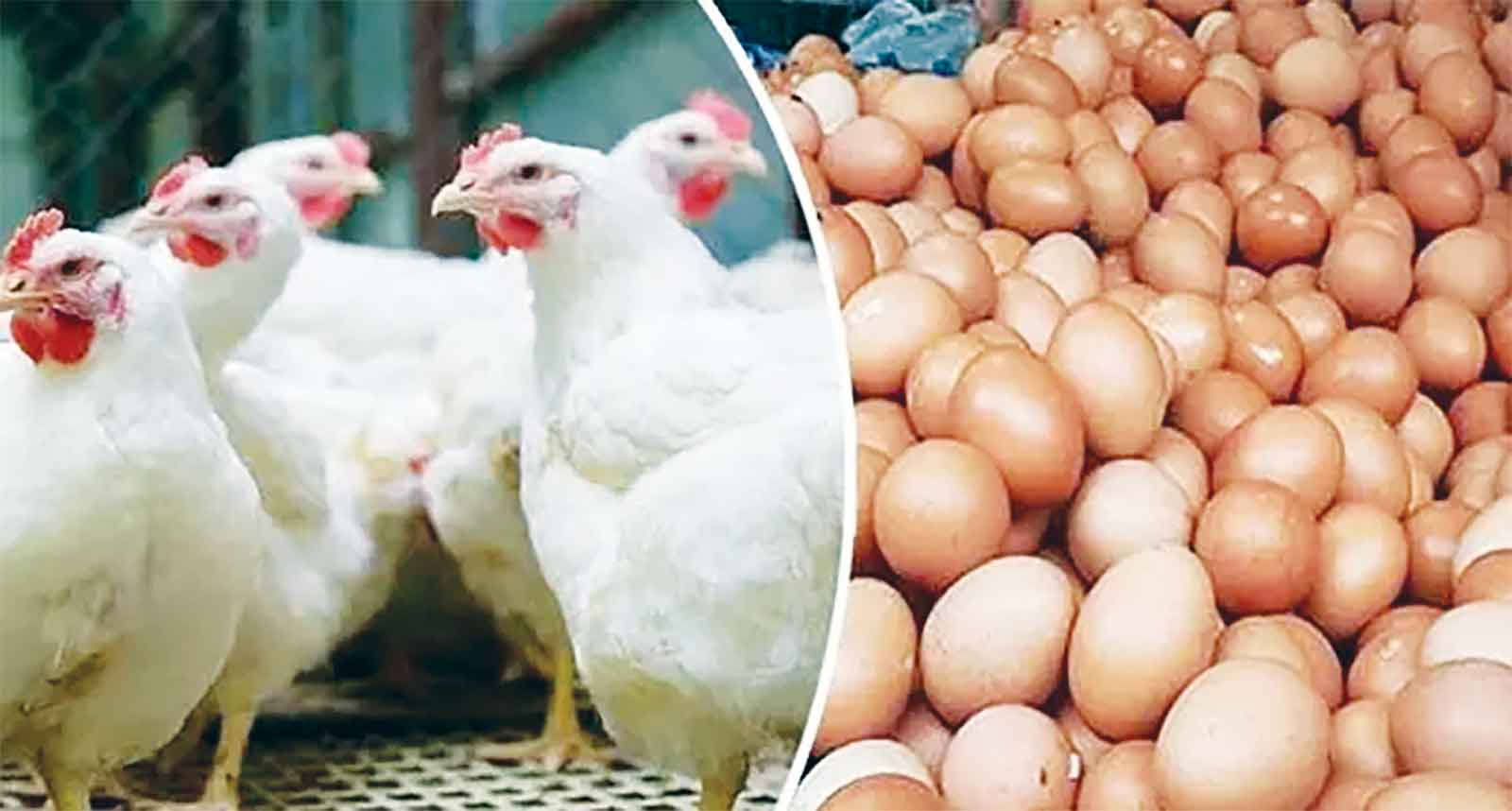 অসাধু চক্র ৬ মাসে হাতিয়ে নিয়েছে ৯৬০ কোটি টাকা