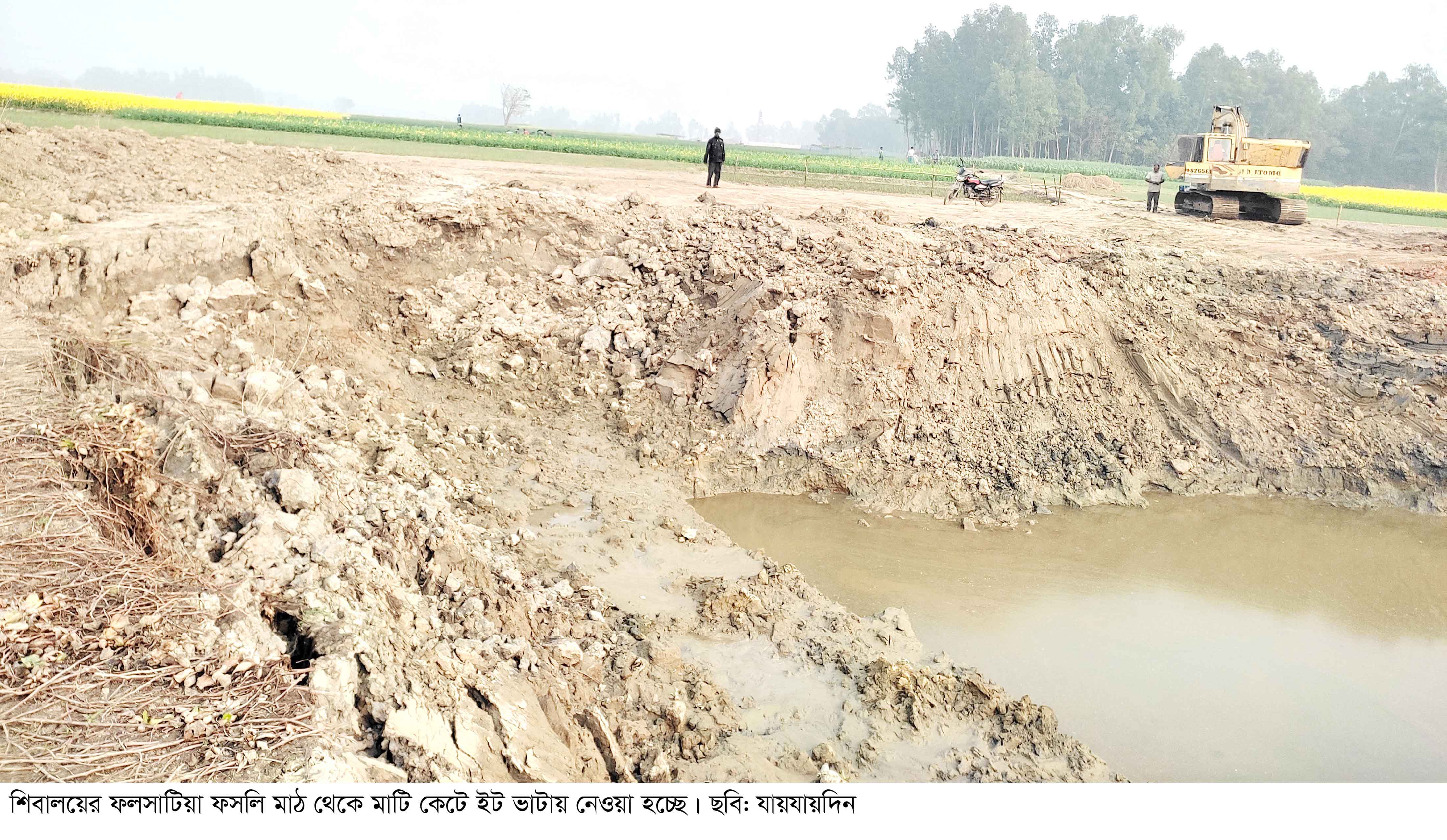 শিবালয়ে প্রতি বছর কমছে ফসলি জমি