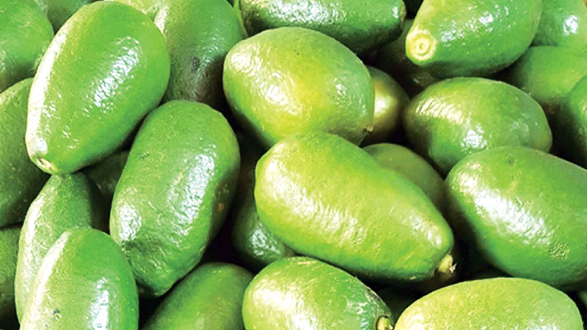 লেবুর দামে আগুন ৫ টাকার লেবু এখন ২৫