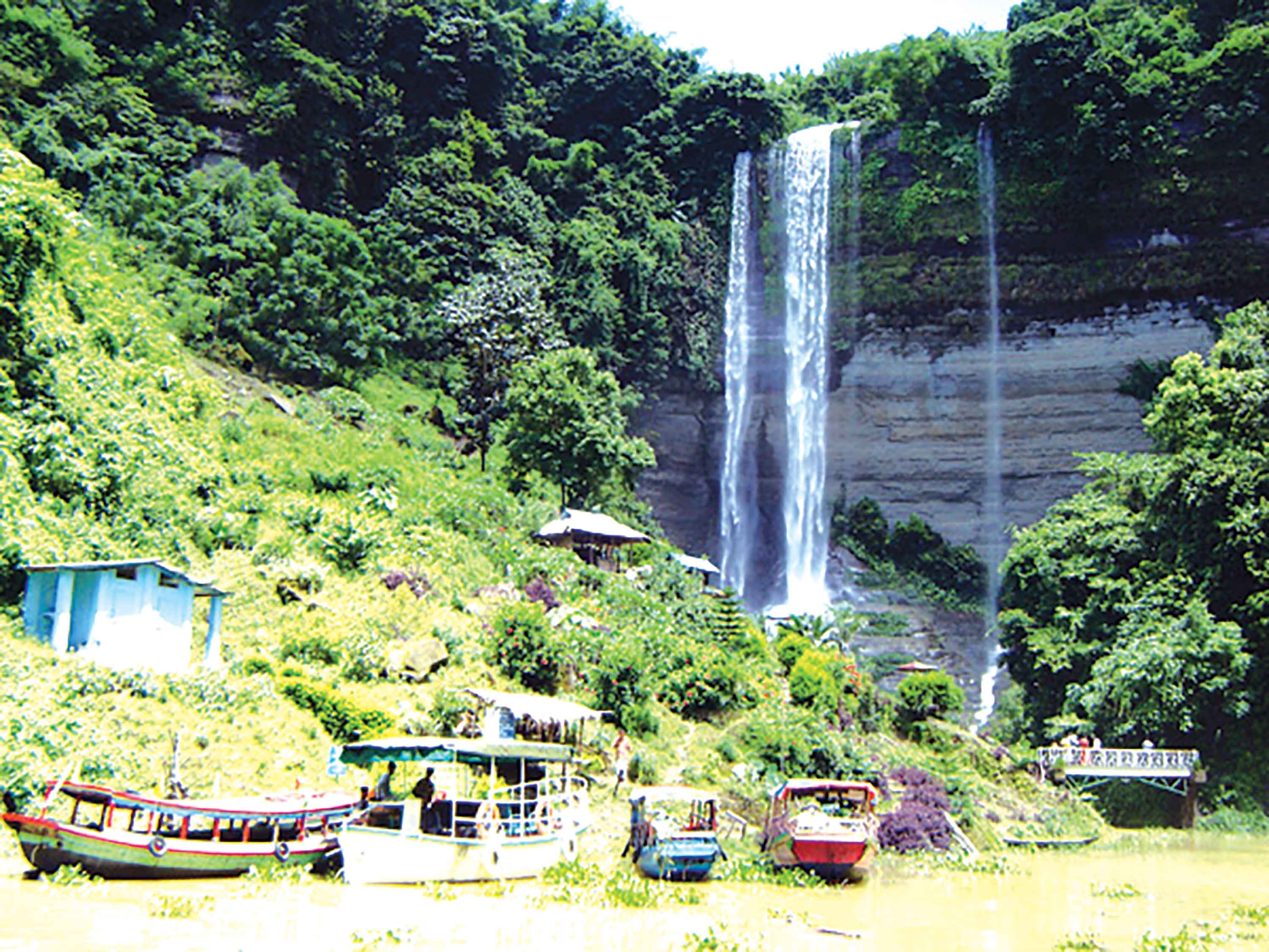 জানার আছে অনেক কিছু