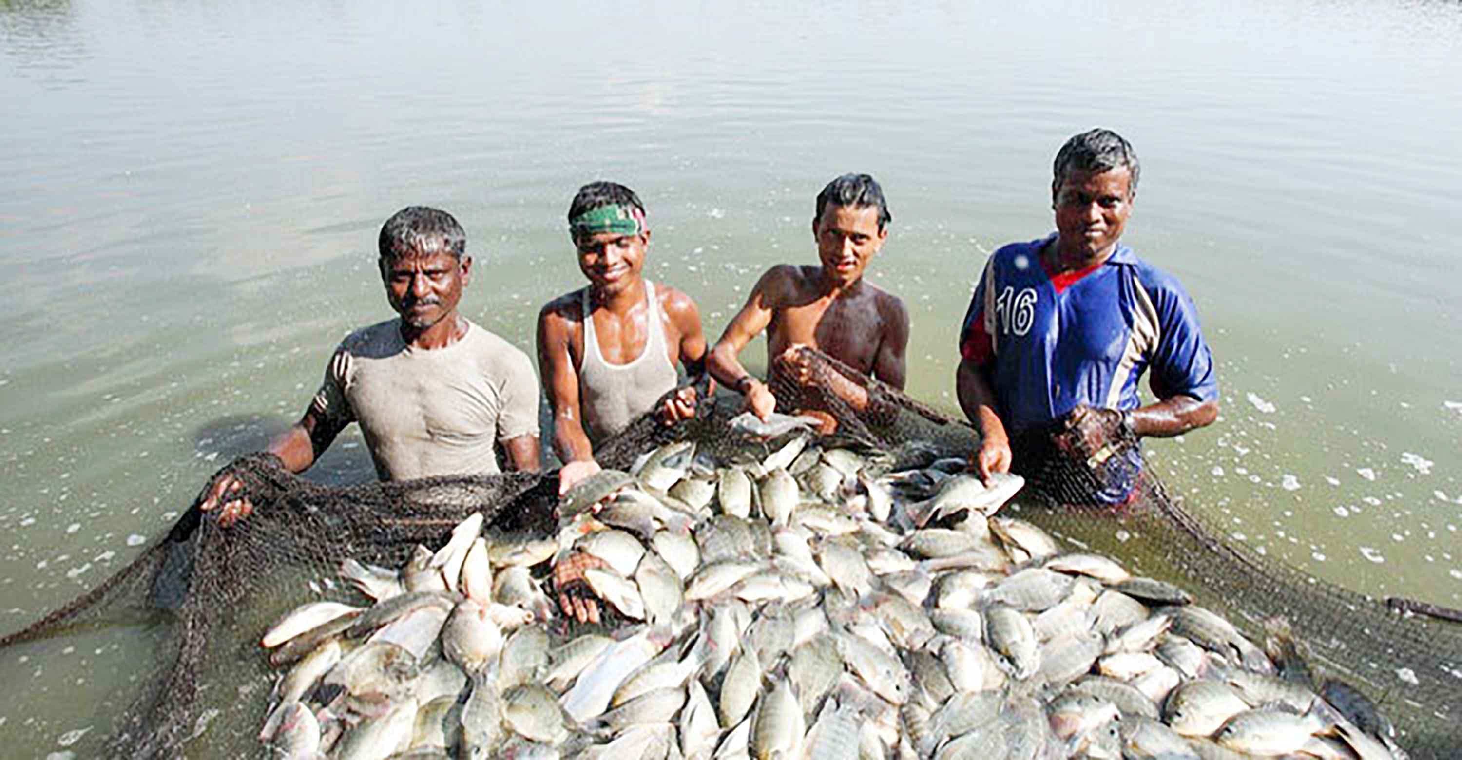 মৎস্যসম্পদ উন্নয়নে দূরশিক্ষণের ভূমিকা