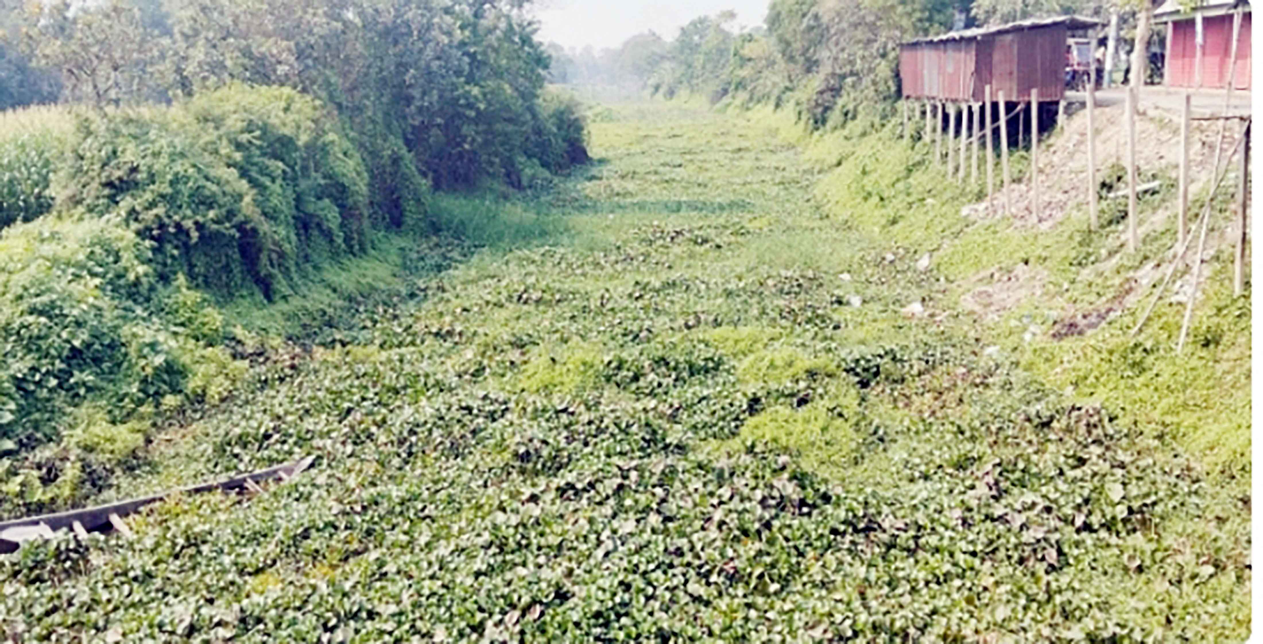 মরা নদীতে পরিণত হয়েছে দাউদকান্দির খিরাই নদী