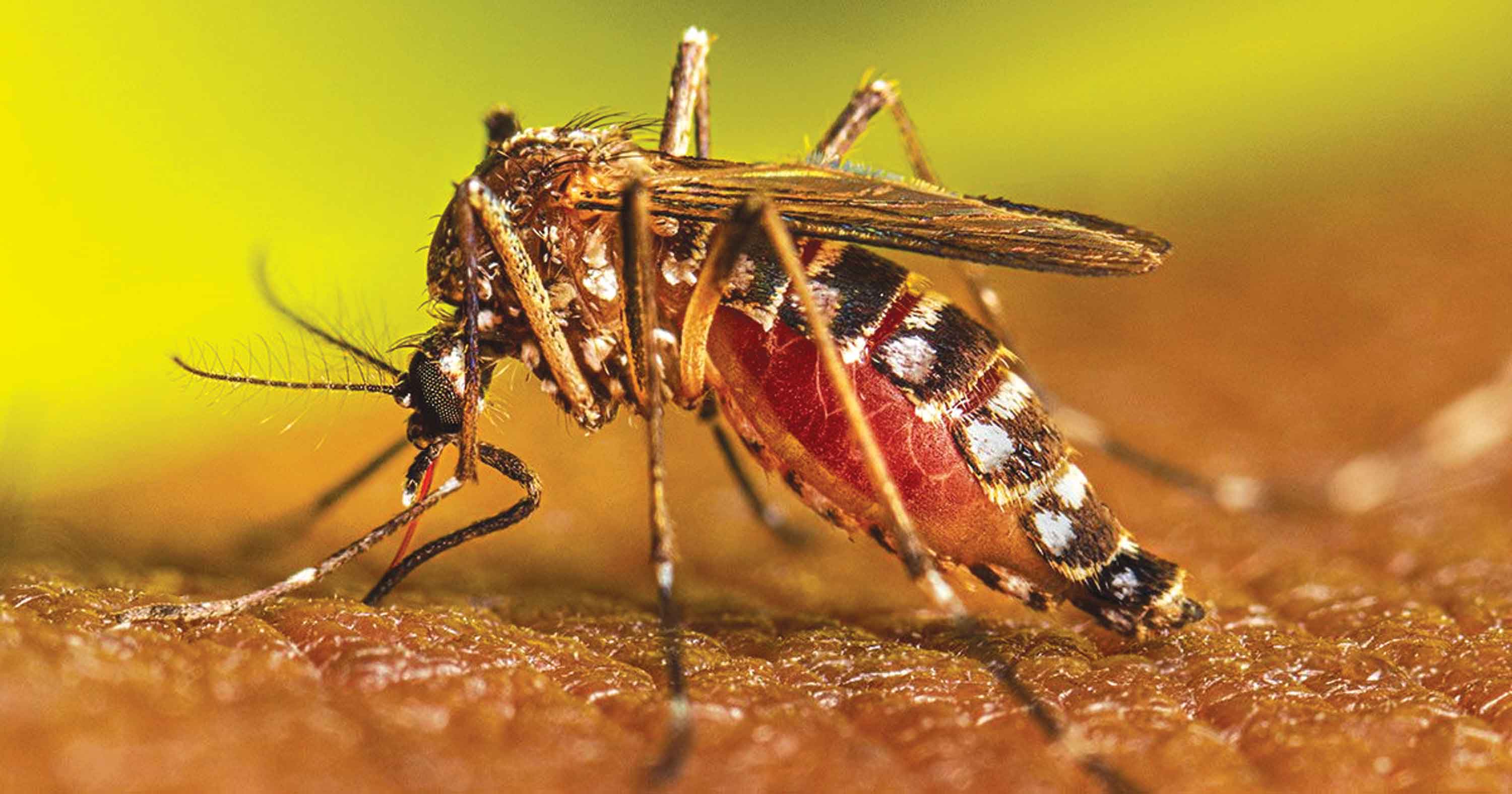 পঞ্চম শ্রেণির বিজ্ঞান