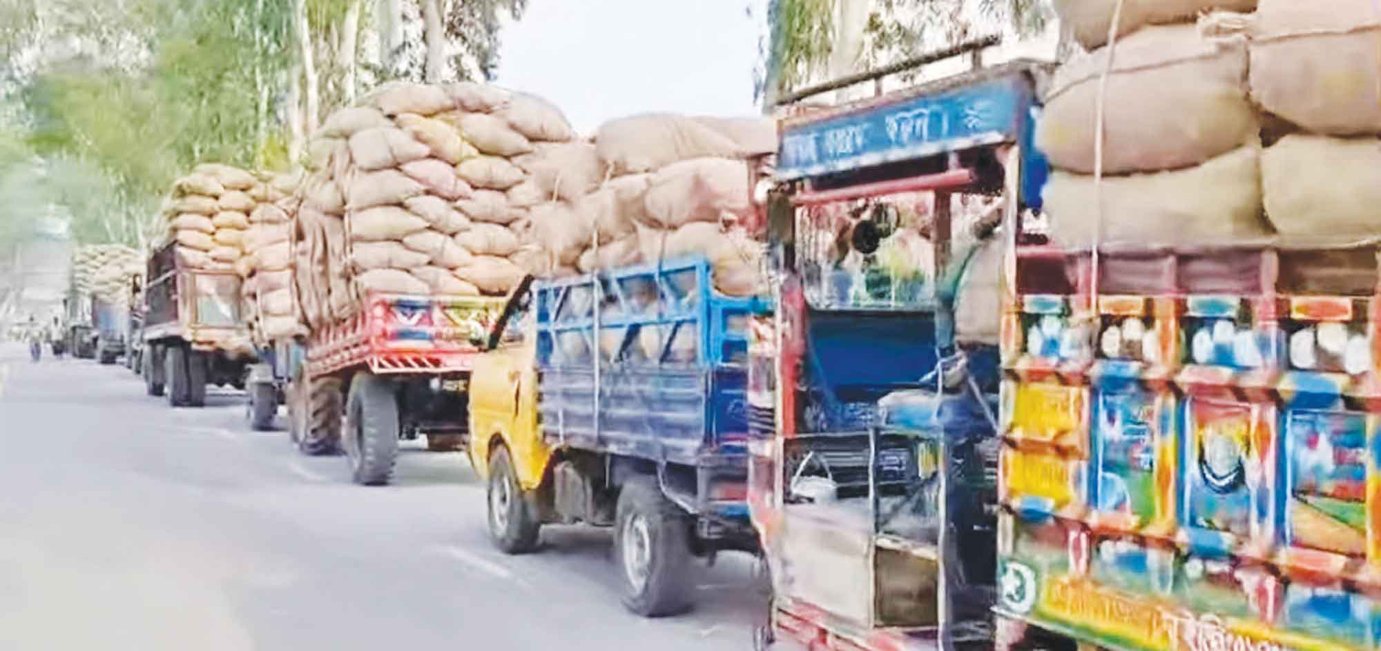 আলু সংরক্ষণ কার্ড সংকট