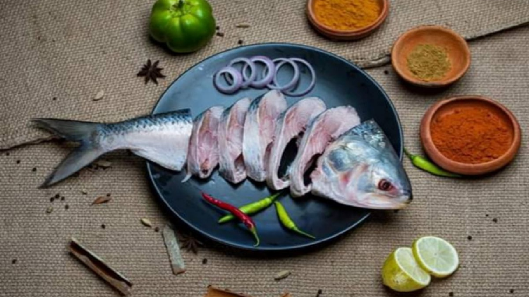 পদ্মার ইলিশ এবার পাতে ওঠেনি ভারতীয়দের
