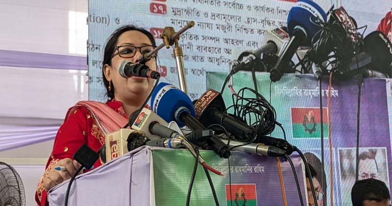 কোনো অভ্যুত্থান ৩৬ দিনে হয় না: রুমিন ফারহানা