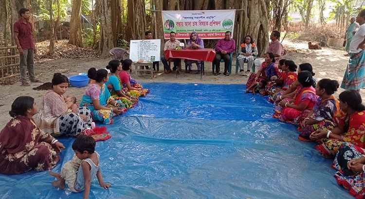 নীলফামারীতে বস্তায় আদা চাষ বিষয়ক প্রশিক্ষণ