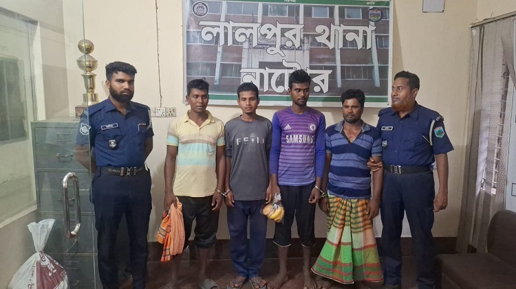 লালপুরে পদ্মার চরে যৌথ বাহিনীর অভিযান, ৪ জনের সাজা