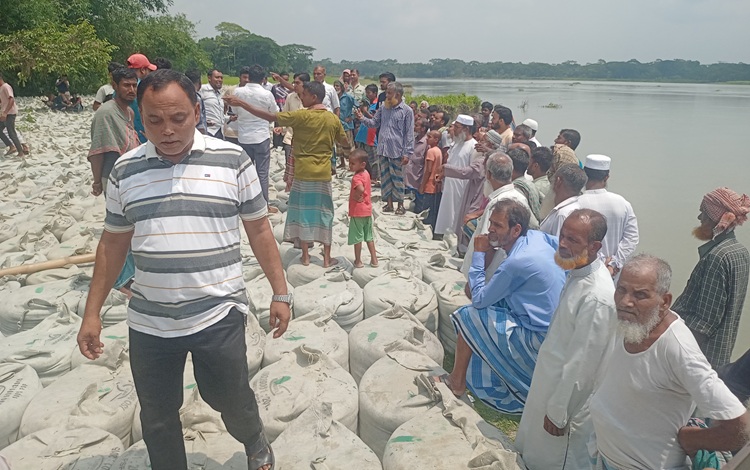 নদী ভাঙন রোধে জিও ব্যাগ ডাম্পিংয়ের কাজ শুরু