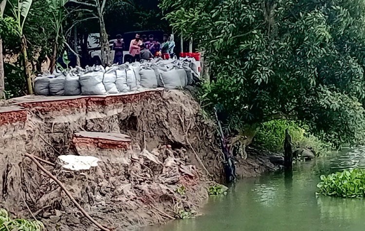 টুঙ্গিপাড়ায় নদী ভাঙন, রোধকল্পে কাজ শুরু করেছে পাউবো