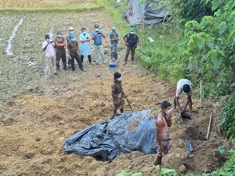 বাঁশখালীতে বৈদ্যুতিক শক দিয়ে বন্যহাতি হত্যা