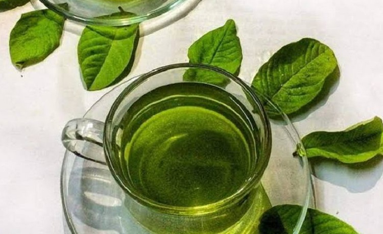 অসাধারণ গুণ পেয়ারা পাতার চায়ের