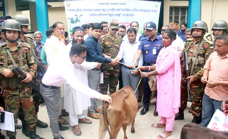 ফুলবাড়ীতে ক্ষুদ্র নৃ-গোষ্ঠীদের মাঝে বকনা গরু বিতরণ