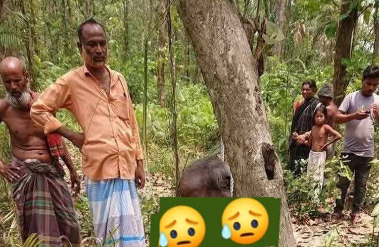 মধুপুর শালবন থেকে ঝুলন্ত মরদেহ উদ্ধার