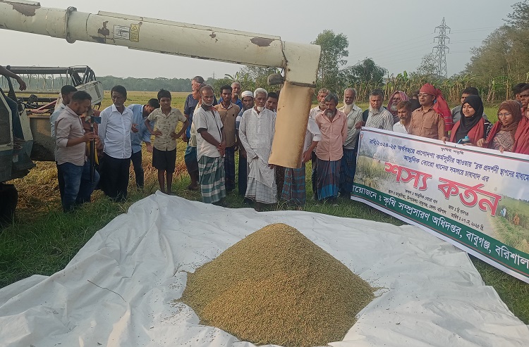 সমলয় পদ্ধতিতে বেরো ধান কাটা উদ্বোধন 