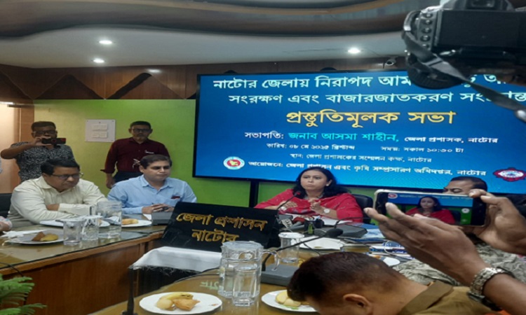 নাটোরে আম-লিচু সংগ্রহ শুরু ১৫ মে 