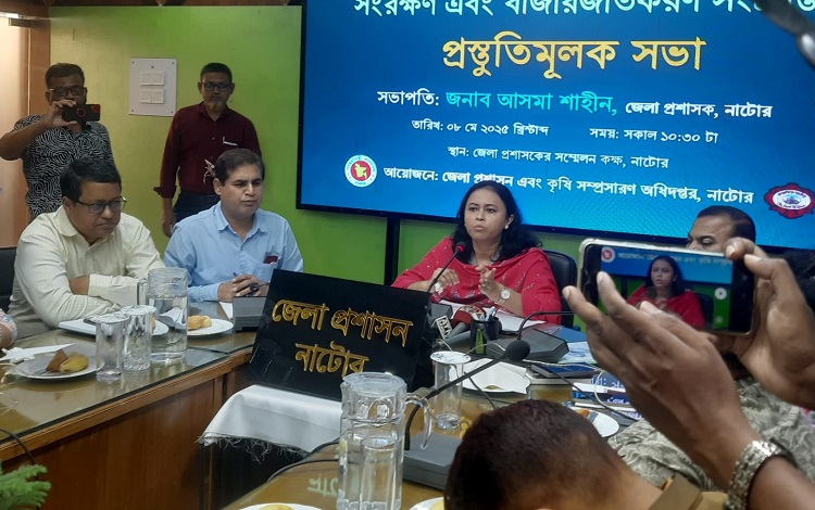 ১৫ মে থেকে নাটোরে আম-লিচু গাছ থেকে সংগ্রহ শুরু