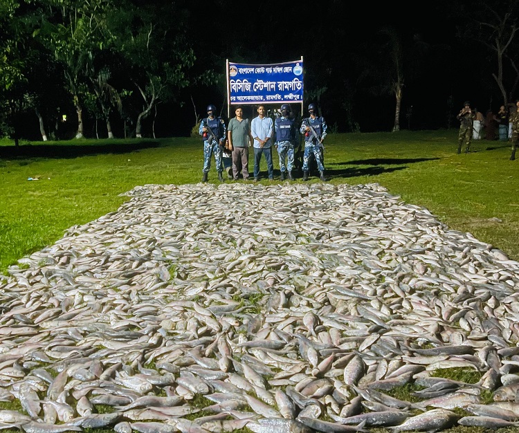 রামগতিতে ১২শ কেজি সামুদ্রিক মাছ জব্দ