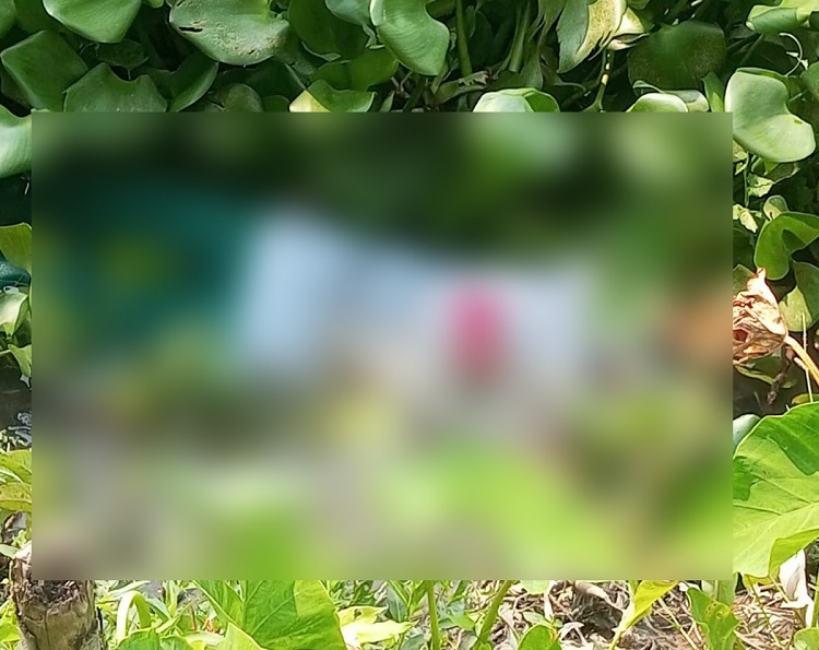 খাল থেকে ববি কর্মকর্তার লাশ উদ্ধার