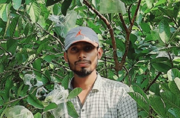 পেয়ারা চাষে সফল উদ্যোক্তা মনিরুল ইসলাম