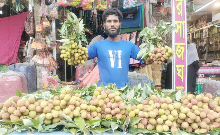 লালমোহনে অপরিপক্ব লিচুতে সয়লাব বাজার! দামও বেশ চড়া