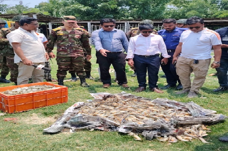শ্যামনগরে অপদ্রব্য পুশকৃত চিংড়ি জব্দ, ব্যবসায়িকে অর্থদণ্ড
