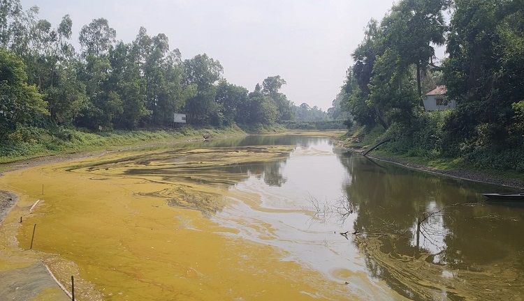 বাসাইলে নদীতে বাঁধ দিয়ে মাছ চাষ