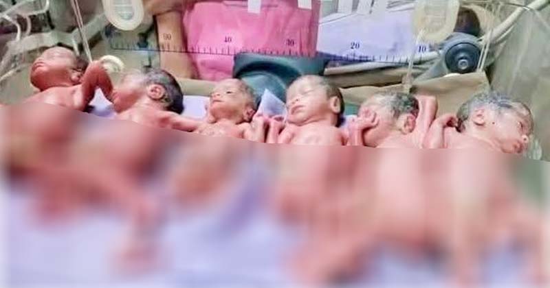মরিয়মের কোলে একসাথে ছয় সন্তান