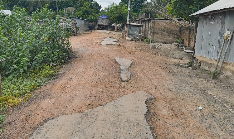 গাংনীর হুদাপাড়া-কুঞ্জনগর সড়কটির বেহাল দশা