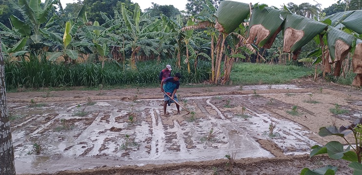 চুয়াডাঙ্গায় একটু নেমেছে তাপমাত্রার পারদ