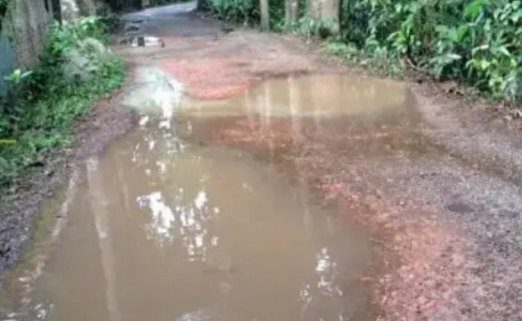 বাকেরগঞ্জে ভরপাশায় রাস্তা যেন মরন ফাঁদ, জনদুর্ভোগ চরমে