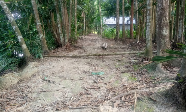 চাটখিলে চলাচলের রাস্তায় বাধা দেয়ার অভিযোগ