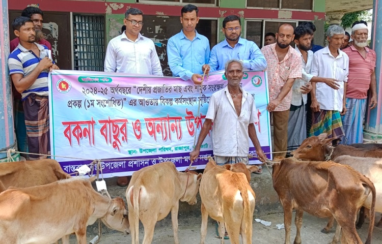 জেলেদের মাঝে বকনা বাছুর বিতরণ